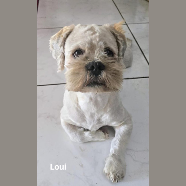 Photo of Loui