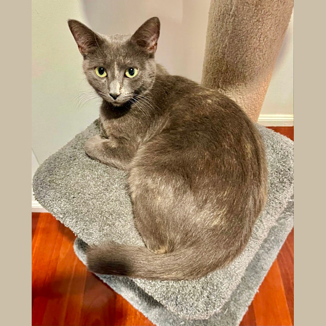 Photo of 💟 Silvee 💟