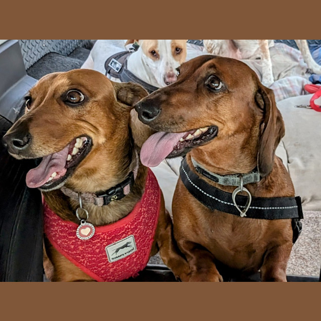 Photo of Harry / Sally