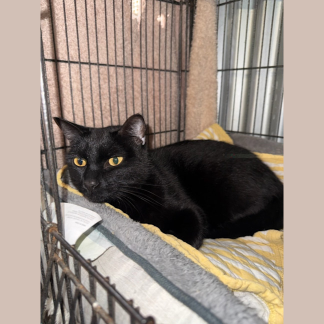 Photo of Taco