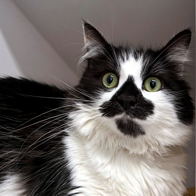 Photo of Brodie Rsuk006393