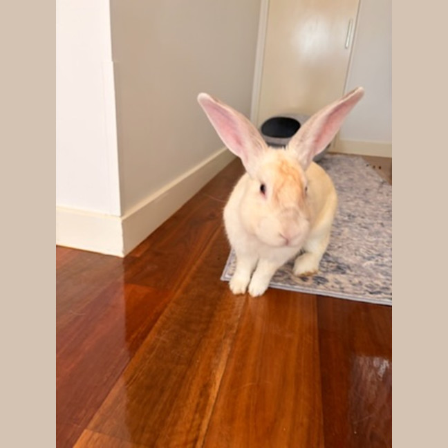 Photo of Victor
