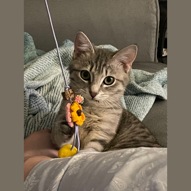Photo of Sadie