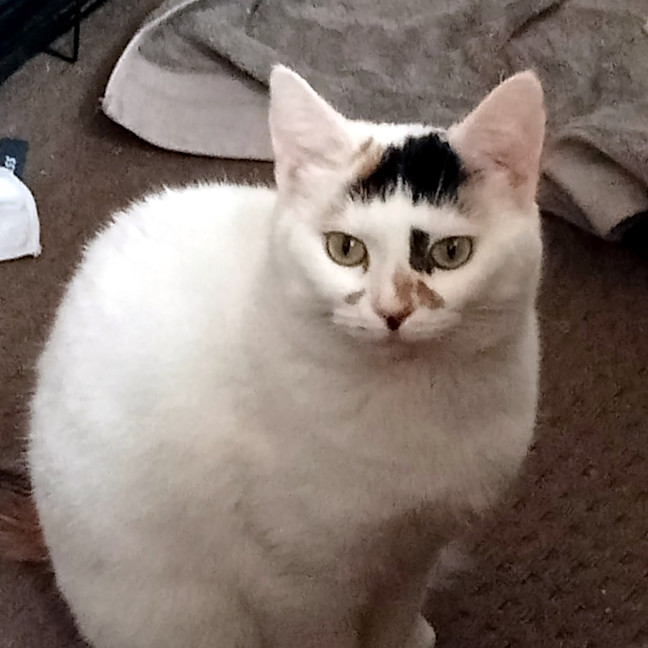 Photo of Emma Sta012305