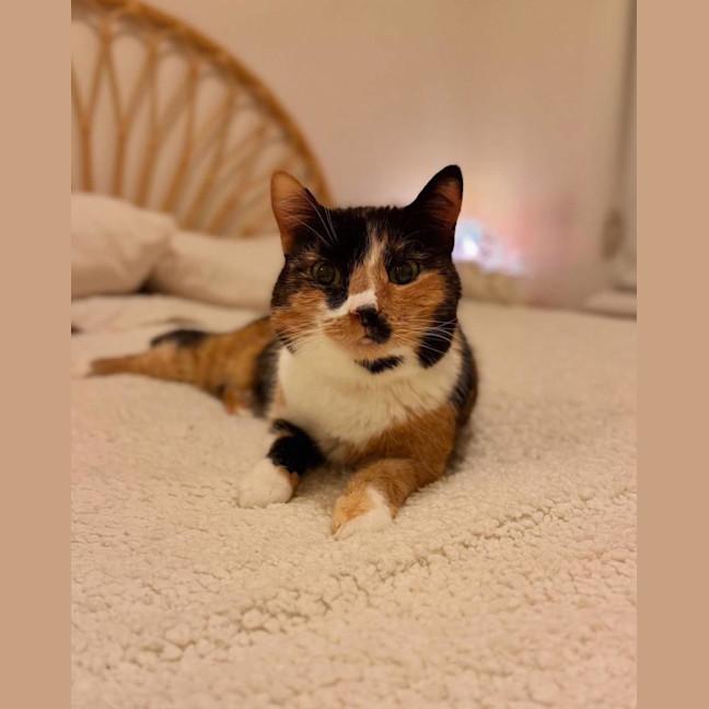 Photo of Storm 