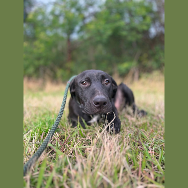 Photo of Sporty Spice