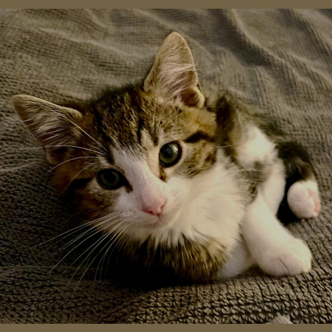 Photo of Tobias