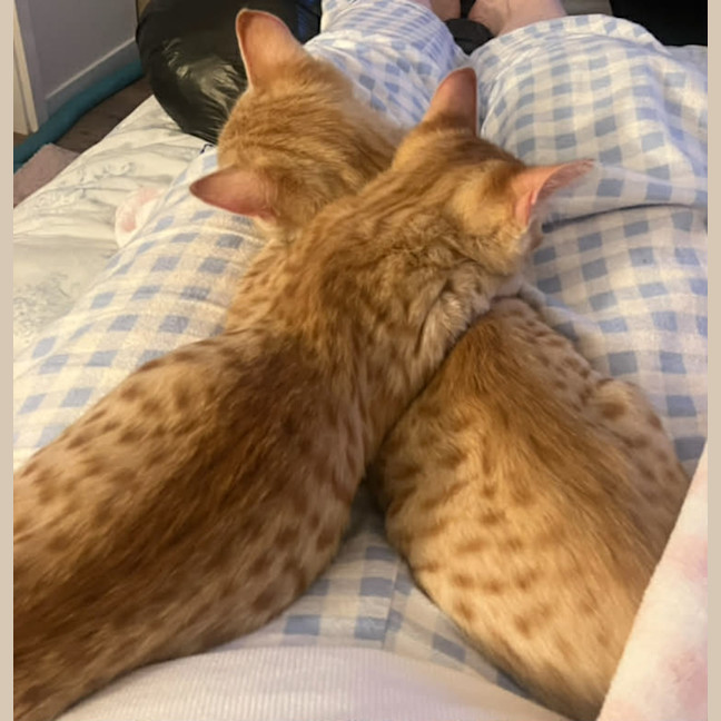Photo of Rocco And Pablo 