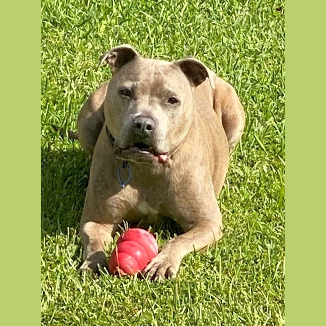Photo of Riley