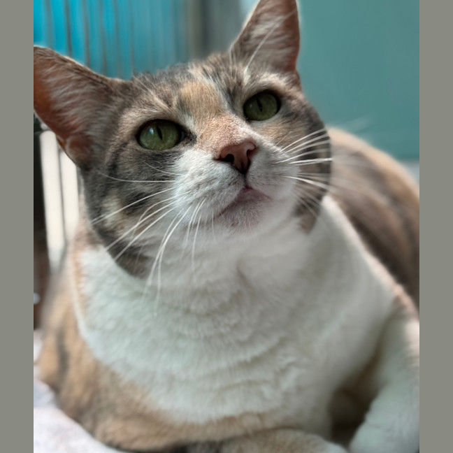 Photo of Polly