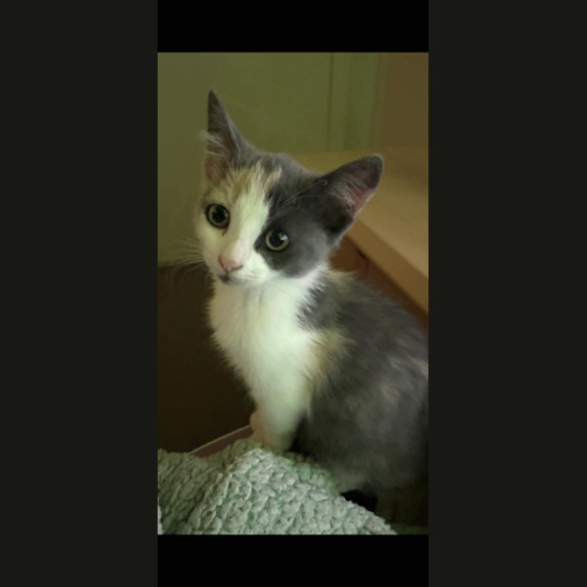 Photo of Meadow