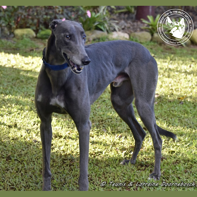 Photo of Froggy (Poppy Ed)