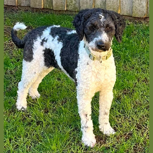 Photo of Heidi