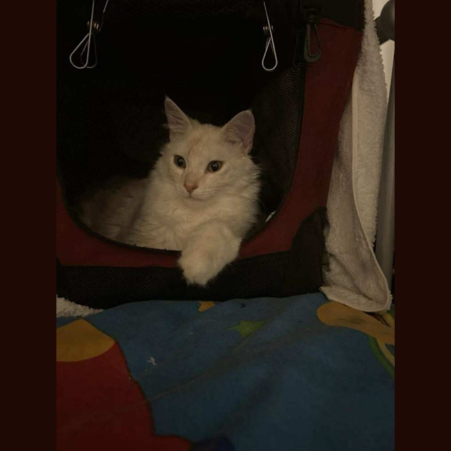 Photo of Mr Wimberley 