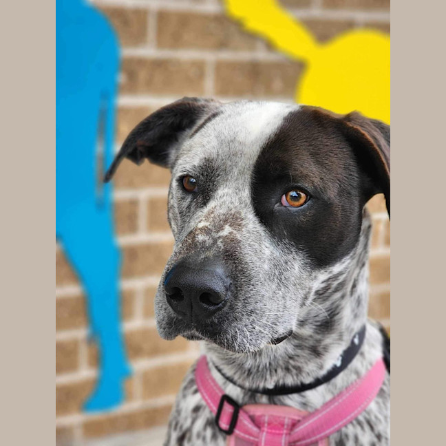 Photo of 🥑 Kevin 5463 🥑