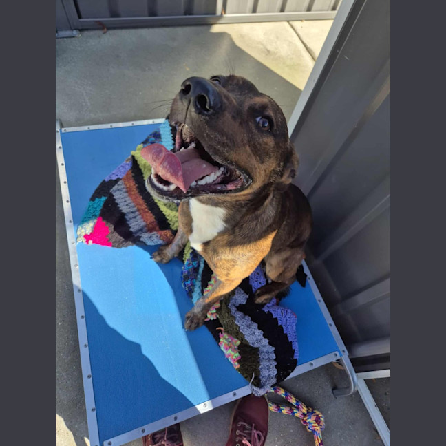 Photo of Toohey! 🍻