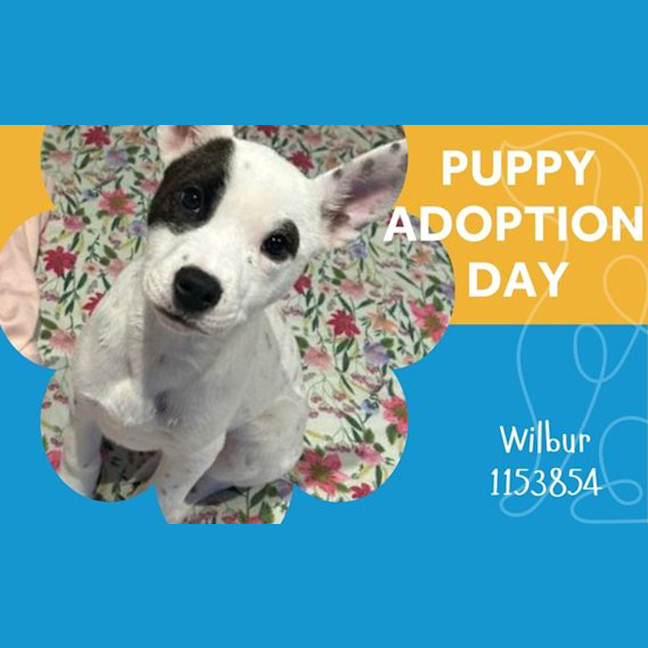 Photo of Wilma 