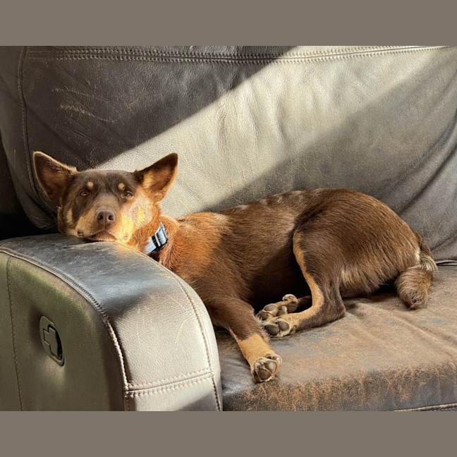 Photo of Hershey