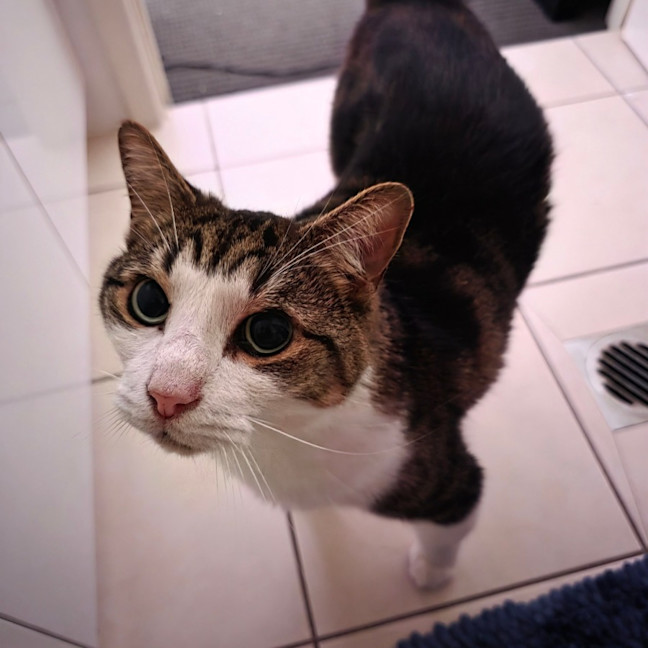 Photo of Baby