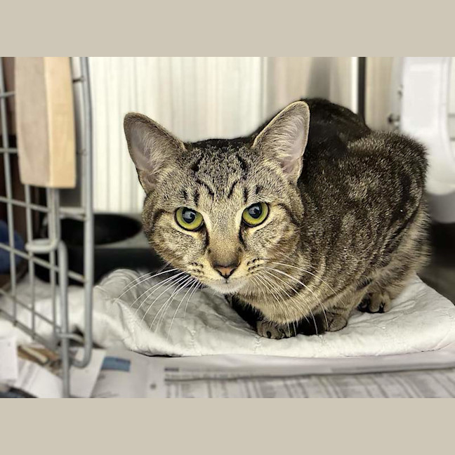 Photo of Stanley