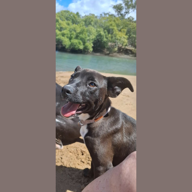 Photo of Blossom