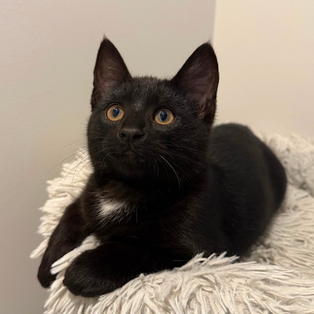 Photo of Banksy 🎨