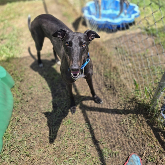 Photo of Shadow Moon