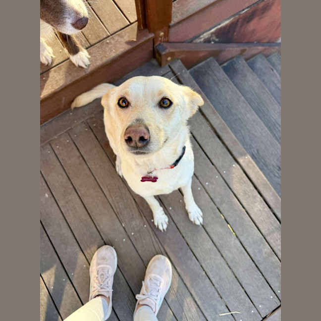 Photo of Tiny