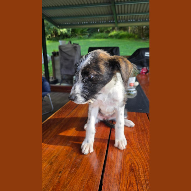 Photo of Maggie