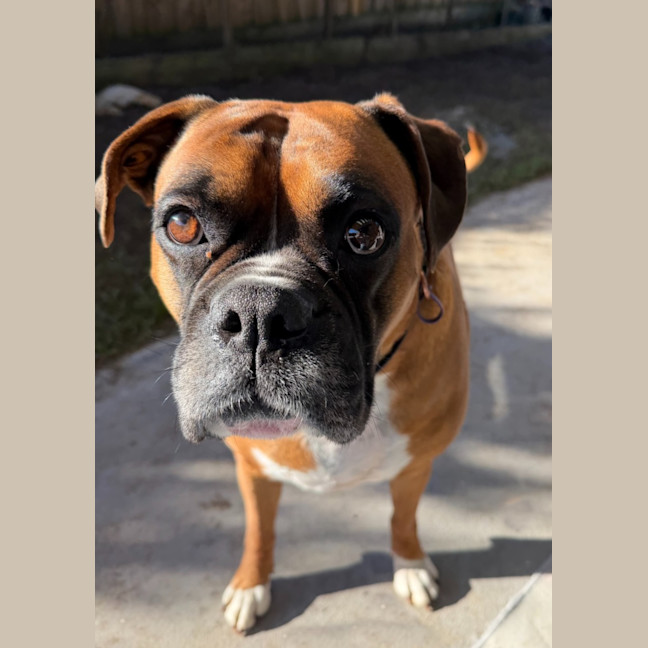 Photo of Allie Mae