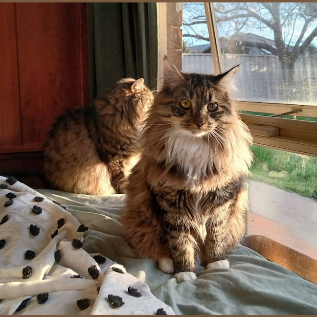 Photo of Clymbeth