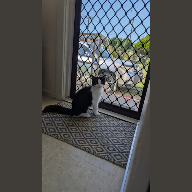 Photo of Miss Biccies