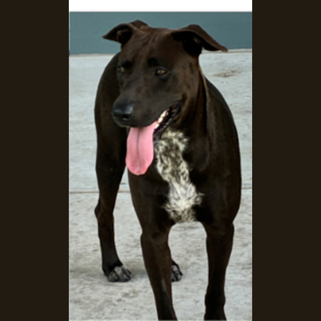Photo of Bonnie