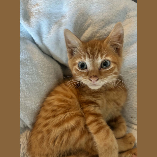Photo of Jerry   Meet Me 10/10 Info In Bio
