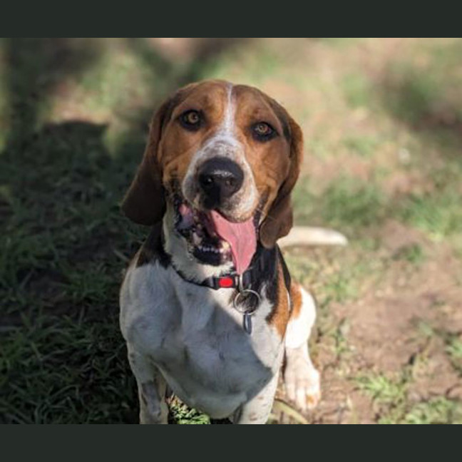 Photo of Detective Bruce