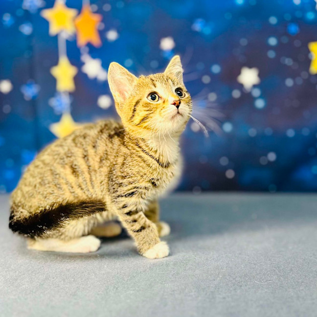 Photo of Bill   Located In Preston 