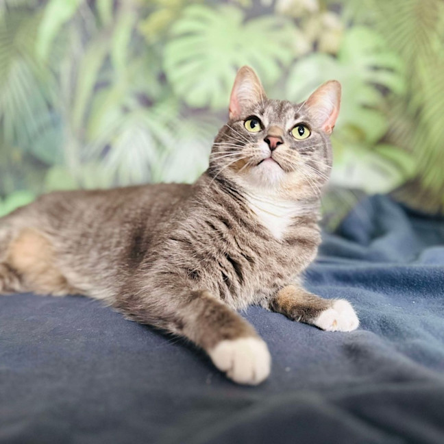 Photo of Greg   Located In Preston