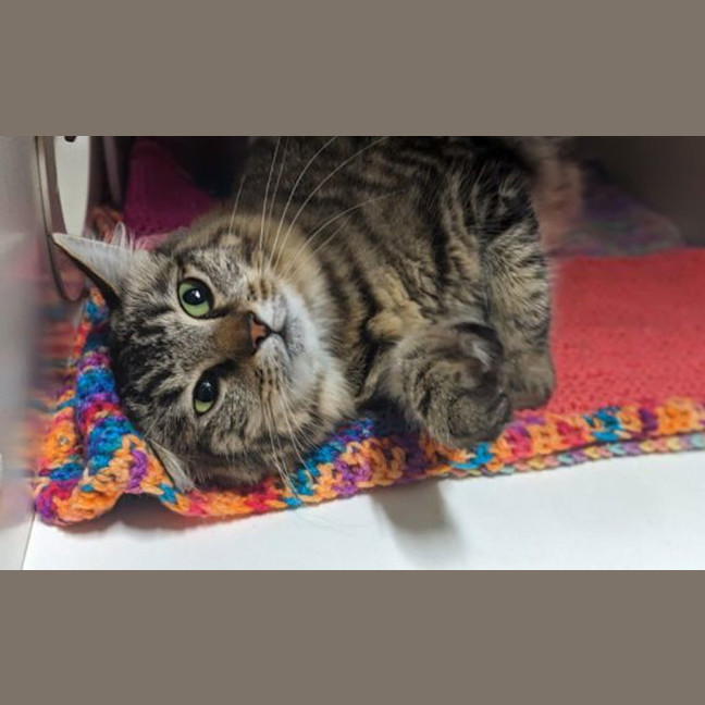 Photo of Sylvia