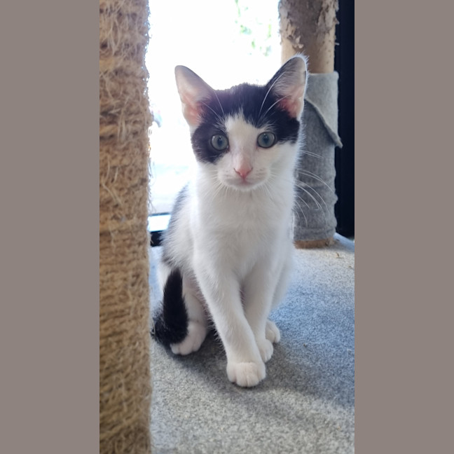 Photo of Esmeralda Joy