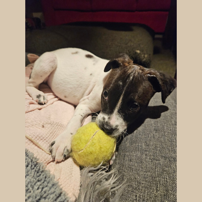 Photo of Dorothy Anne