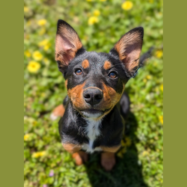 Photo of Huntrix