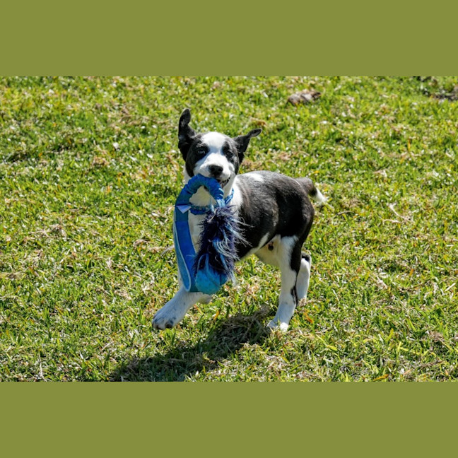 Photo of Dax