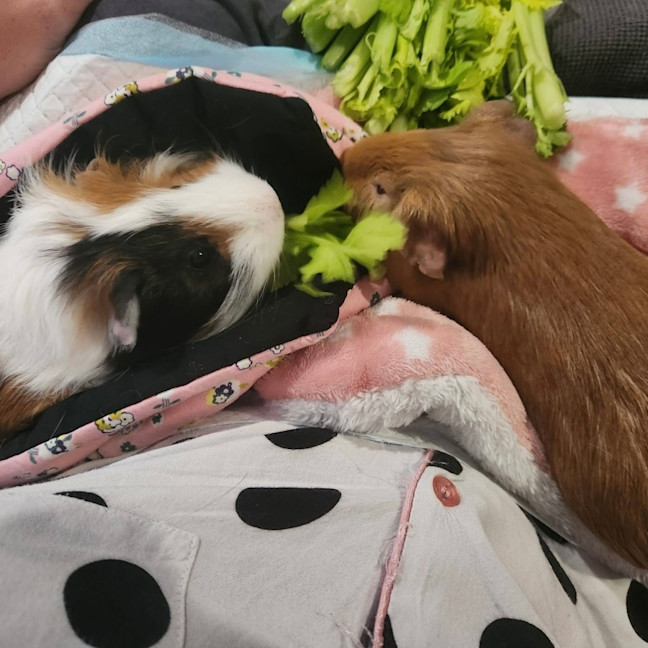 Photo of Zach & Bubbles