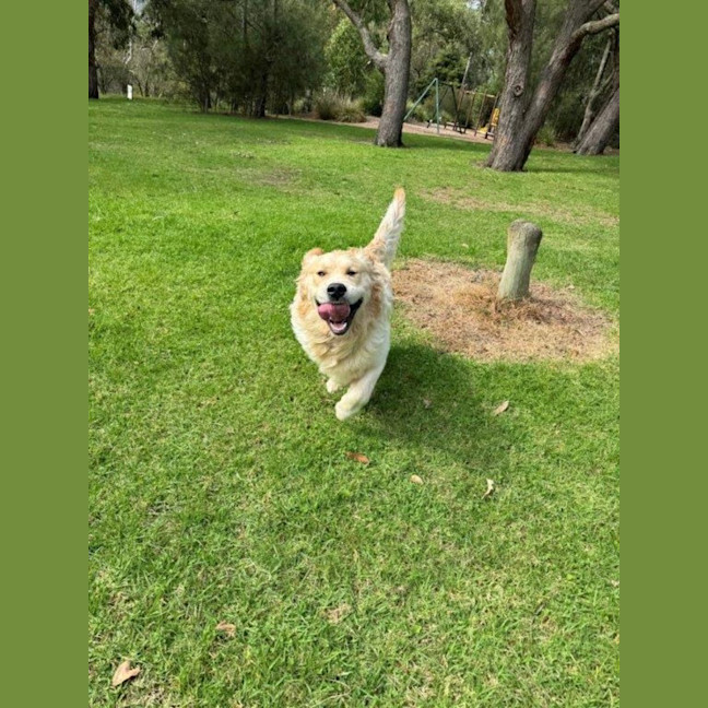 Photo of Sarrh Falko 