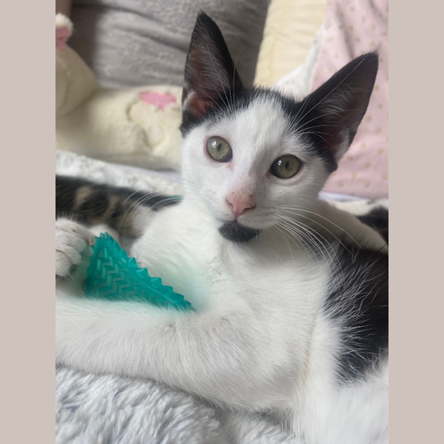 Photo of Zeb Sanderson