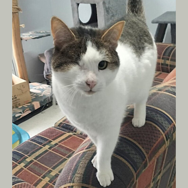 Photo of Bungi