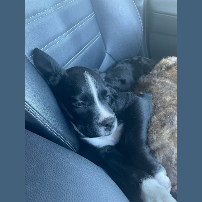 Photo of Dee Reynolds