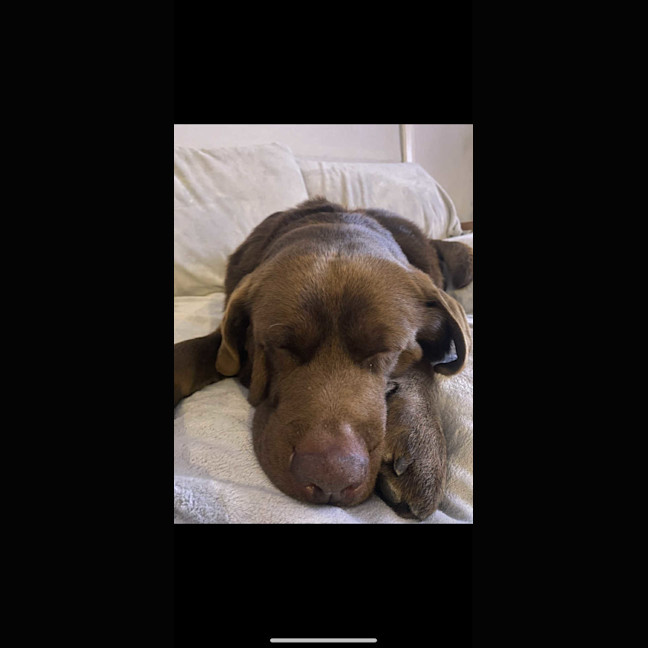 Photo of Freddy
