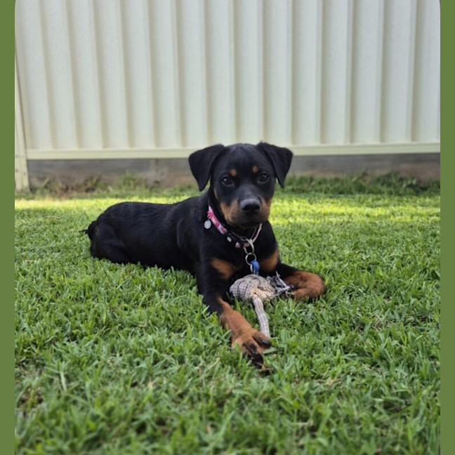 Photo of Bebe