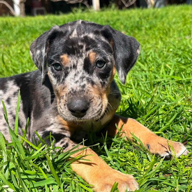 Photo of Kaiya
